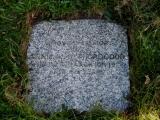 image of grave number 790587